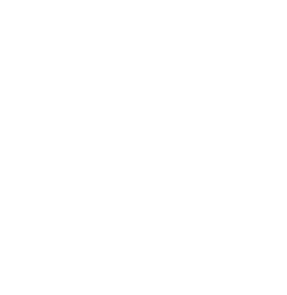 Valorizer